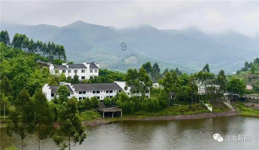 重大变故“后遗症”：心理危机认识及应对